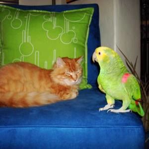 Meet your Posher, Rhonda